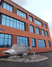 Ресторан «Дикий Север» и бутик-отель «Территория» Россия Магадан